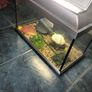 Fish T Image 3