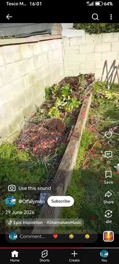 rubbish removal
