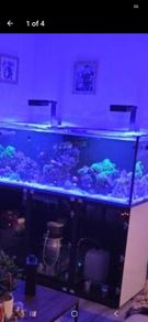 red sea RL90 X2