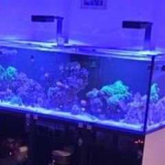 red sea RL90 X2