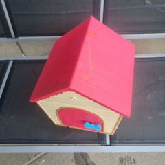 dog and house