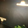 Wooden reptile terrarium Image 3