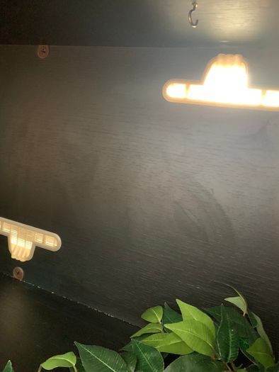 Wooden reptile terrarium