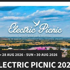 electric picnic - bus ticket