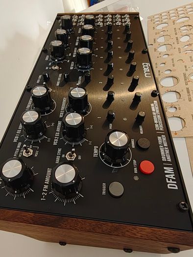 Moog DFAM mint condition