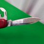 Victorinox Wenger Swiss Army Knife Bundle with Small Edc wallet Image 6