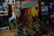 Haunted ! Issue #20 ! Bronze Age Horror Comic from 1975 ! by Charlton !