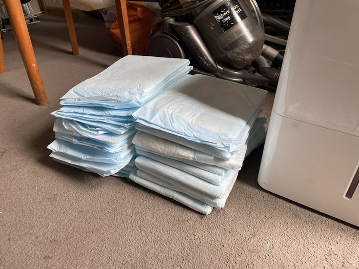 absorbent pads for bedtime toilet training