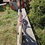 Balance bike Image 3