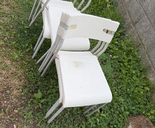 6 White Chairs