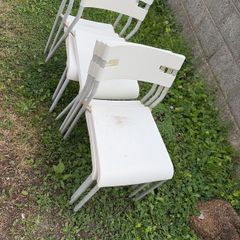 6 White Chairs