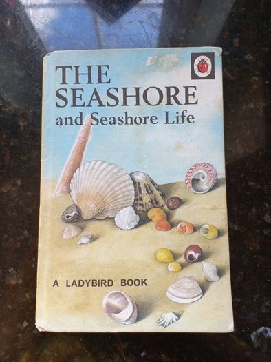 Vintage Ladybird Books- The Seashore and Birds of Prey