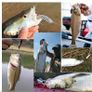 56 Pce fishing Lure Set Image 3