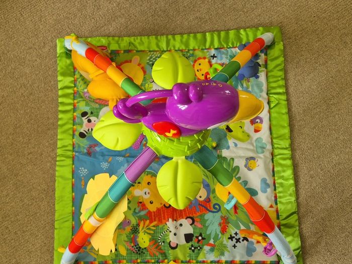 Fisher-Price Rainforest Music & Lights Deluxe Gym