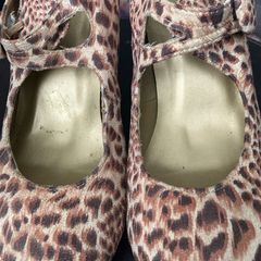 Ladies leopard shoes