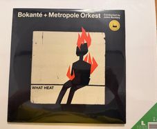 Bokante and Metropole Orkest. Vinyl Album. Mint.