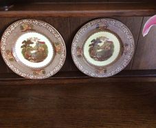 Royal staffordshire Jenny Lind 1795 Pattern 10 inch Dinner plates x 2 cottagecore