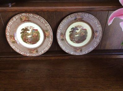 Royal staffordshire Jenny Lind 1795 Pattern 10 inch Dinner plates x 2 cottagecore