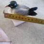 Royal Copenhagen figurine seagull on marble plinth. Image 3