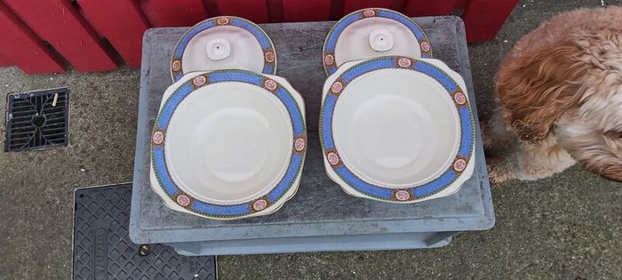 Karmony Shape Rose Pattern Vintage Dinnerware