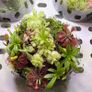 Aqua-Art VivoVerde Microterrarium with insectivorous plants 2L - ver1 Image 2