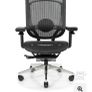 Office Chair (Neue) Image 5