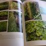Camcor The river of Birr Offaly Ireland Irish Local history Image 10
