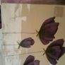 Pair of Extra Large Hand Painted Matching Oil on Canvas Paintings Image 8