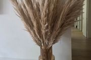 Decorative Pampas in Brown Glass Vase