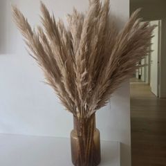 Decorative Pampas in Brown Glass Vase