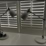 Ornaments Image 5