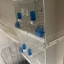 bird cages Image 2