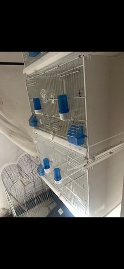 bird cages