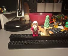 Dunmbledore and mini castle