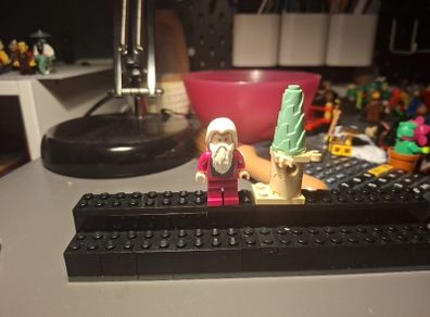 Dunmbledore and mini castle