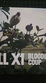 Bell X1 - Bloodless Coup.