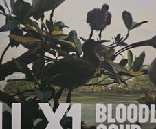 Bell X1 - Bloodless Coup.