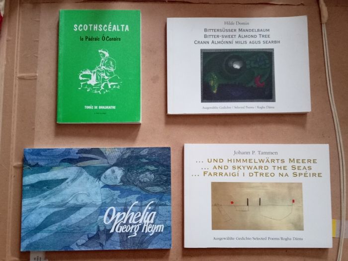 Irish Books Any Four Books for Twenty Euros (9 photos)