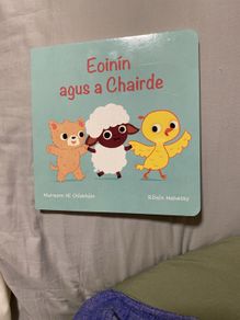 Irish language children's book