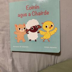 Irish language children's book