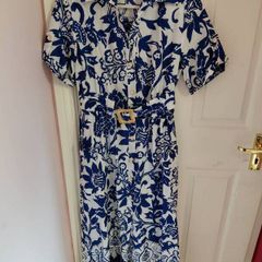 Zara dress