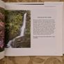 Stories From Life By Ignatius Waters. C. P. Beautiful Illustrated Large Volume Hardback With Dustjacket In Very Good Condition.make Lovely Christmas Present. 34. Image 10