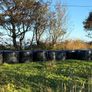 Round bale silage Image 3