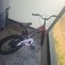 kids bike chipmunk with helmet Image 3