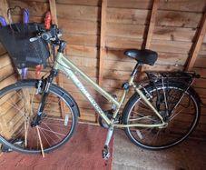 Ladies bike