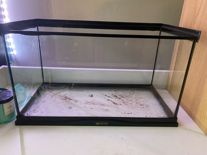 ExoTerra Terrarium