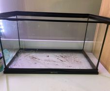 ExoTerra Terrarium