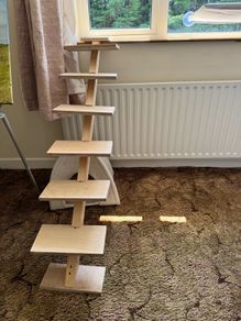 Ladder for cats