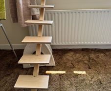 Ladder for cats
