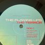 The Flaming Lips - The Terror Image 8